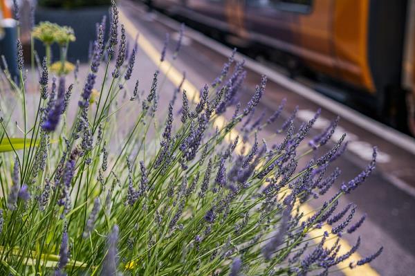 百色市通旭物流有限公司