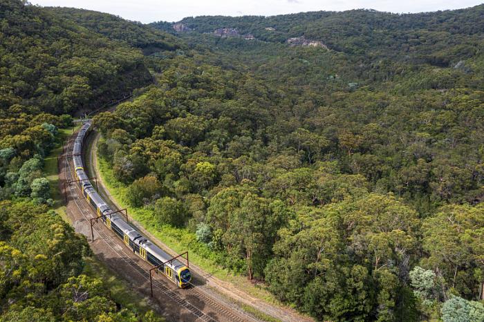 广东承安物流有限公司