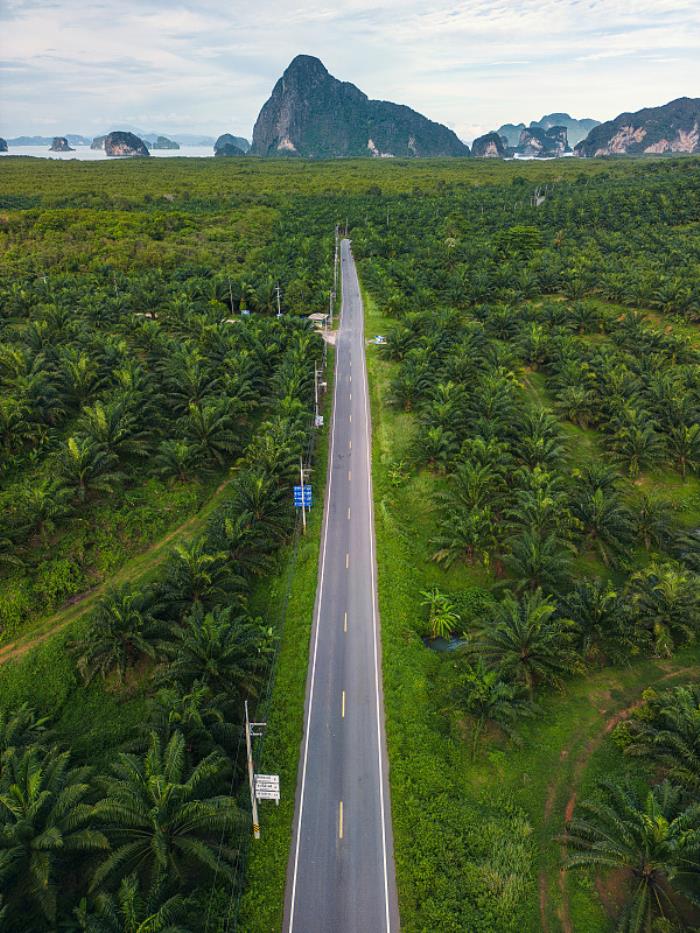 新疆阿凡提物流有限公司