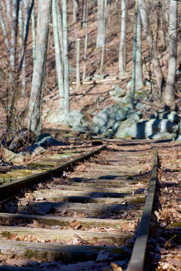 通渭县天宇物流有限公司