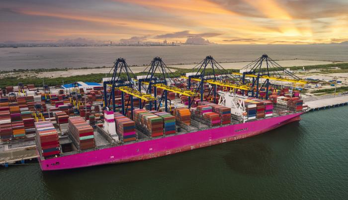 青岛鸿鑫运通国际物流有限公司对应材料