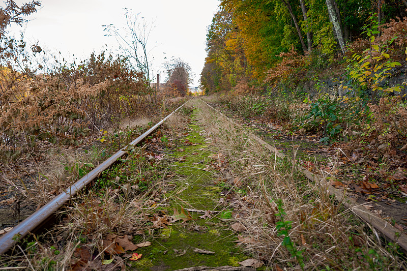广西智悦国际物流有限公司