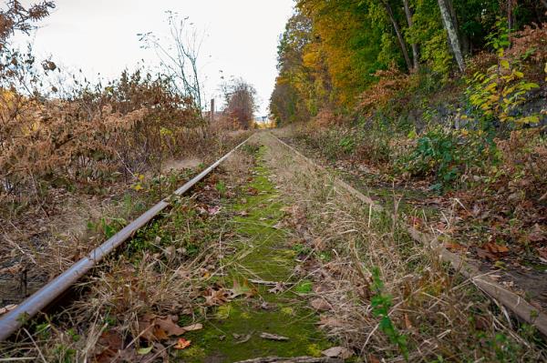 广西智悦国际物流有限公司