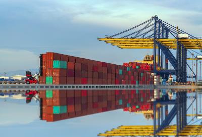 深圳市振信国际物流有限公司