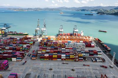 山东德强物流有限公司部分材料