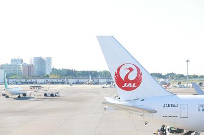 广西恺鑫物流有限公司