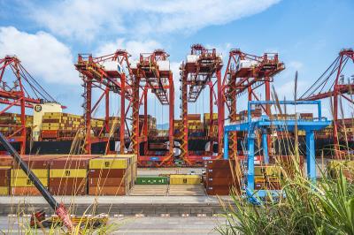 寿光市腾丰物流有限公司有关概要