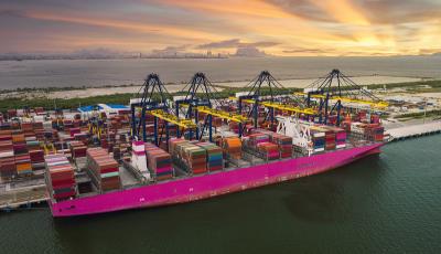 青岛鸿鑫运通国际物流有限公司对应材料