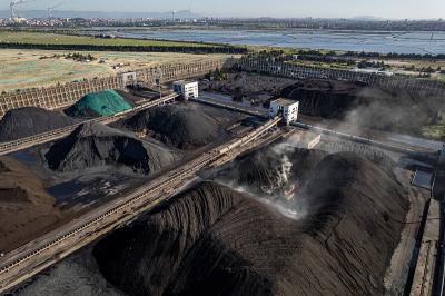 青岛卡行睿晨物流有限公司相关概要