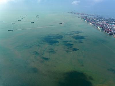 仙桃和合物流有限公司简单概要