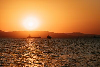 丽德物流（武汉）有限公司相应概要