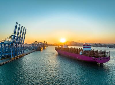 山东欣康物流有限公司一些介绍