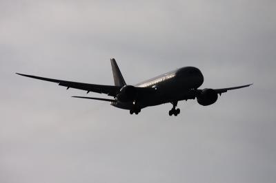 广西浙通物流有限公司