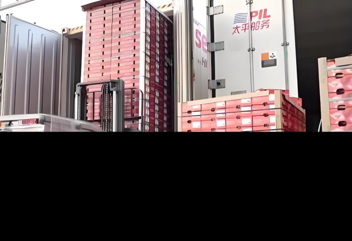 海运智利车厘子，海运