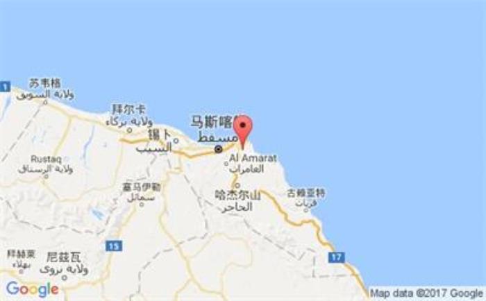 阿联酋港口：哈姆利亚港（AEHAM）