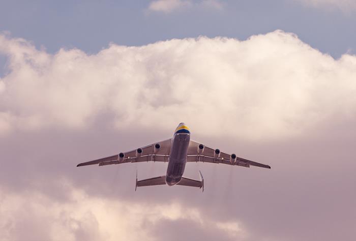 单证报关和买单报关的区别? 单证报关和买单报关的区别?