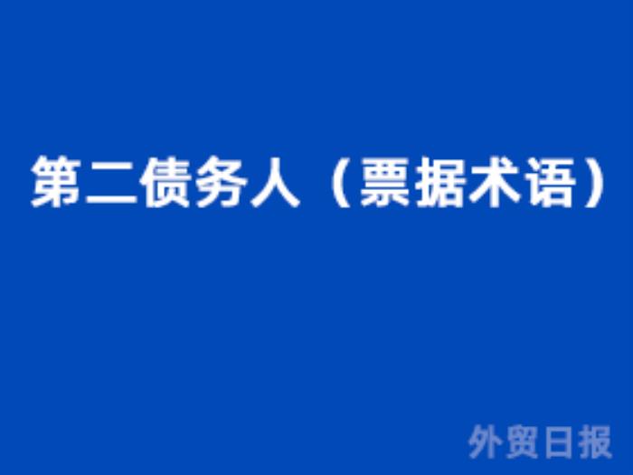 第二债务人（票据术语）