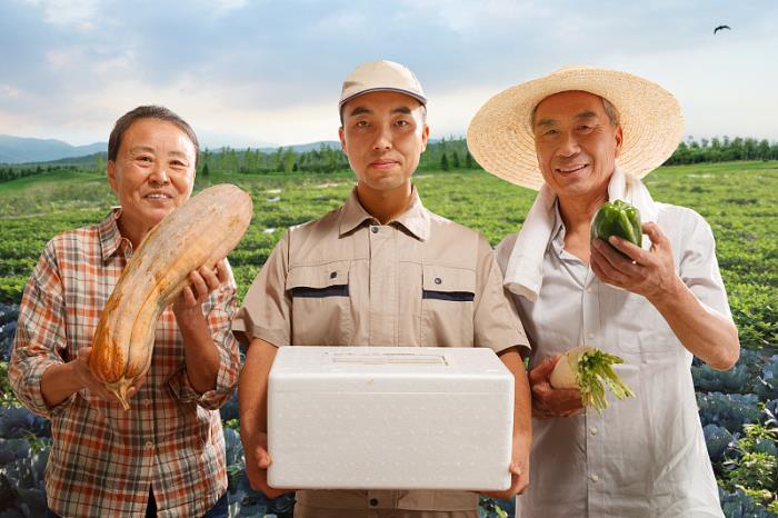 俄罗斯本土物流公司有哪些 俄罗斯本土物流公司有哪些