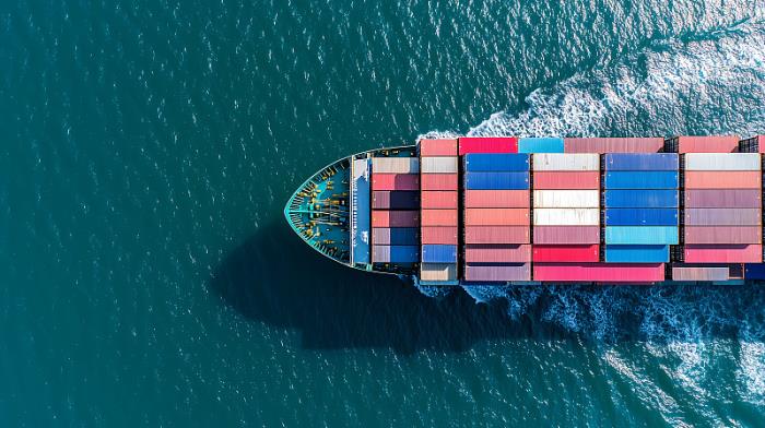 海关减免税系统更新，新增3方面功能！