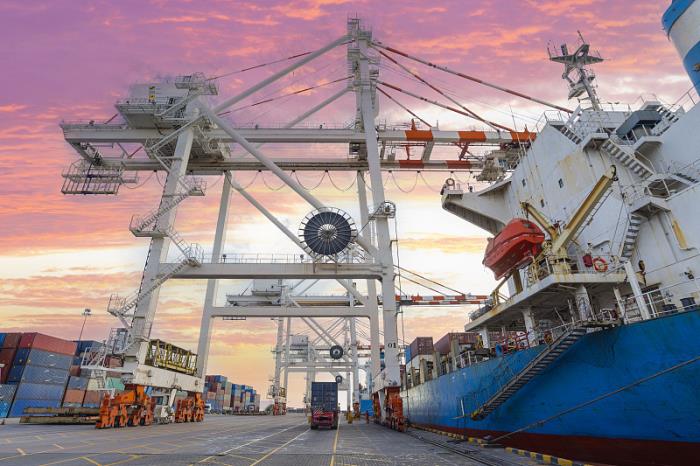 国际社会学协会