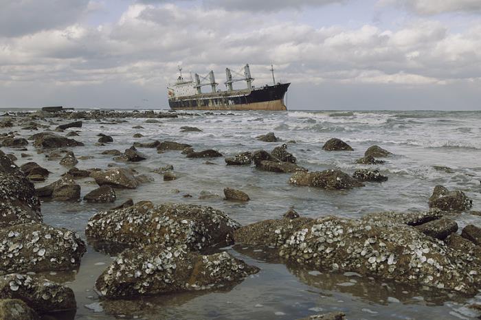 转口贸易需要报关吗？一文了解详细流程