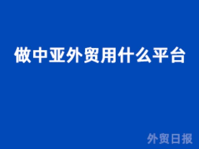 做中亚外贸用什么平台