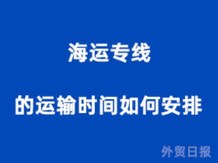 海运专线的运输时间如何安排？