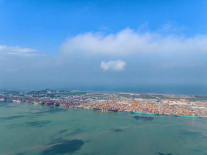 外贸人必看！一文读懂报关和清关的区别与联系