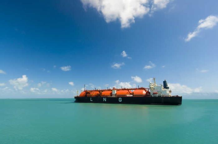 cnee外贸中指什么意思