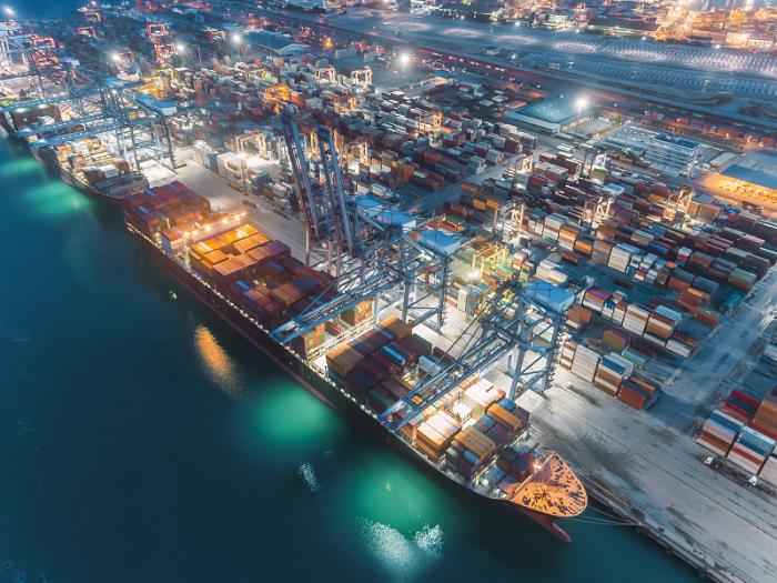 dpd国际快递单号查询