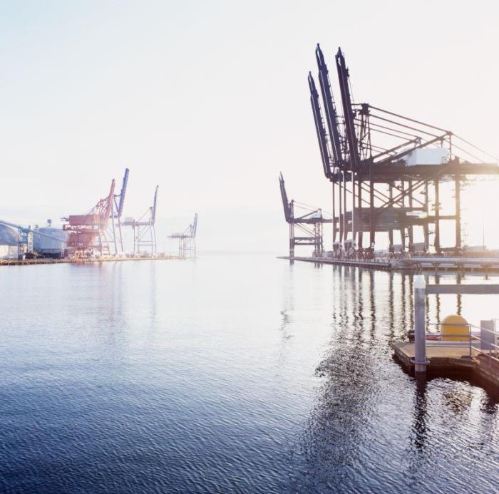 数字物流包括哪些内容