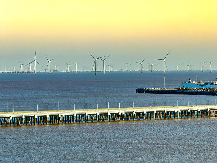 票据日期（Term of bill）