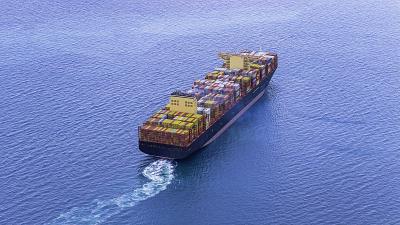 中美贸易大利好！美国或进一步降低关税！