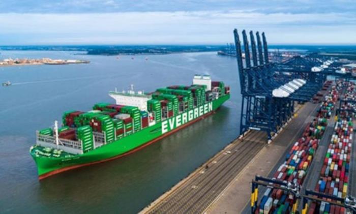 纽酷国际物流：选择FBA海运物流公司的五大理由