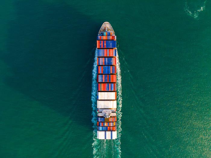 尼日利亚加强反恐行动 11名恐怖分子头目被击毙