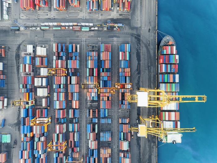 连续12年！顺丰守护茂名荔枝领