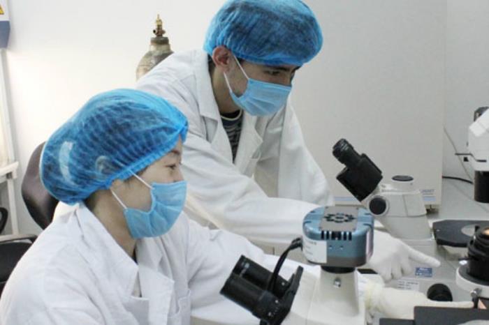 报关与报检有不同？（报关、报检、检验检疫、商检、查验之间的区别）