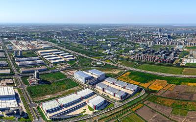 新能源汽车单证申报不实，严查！