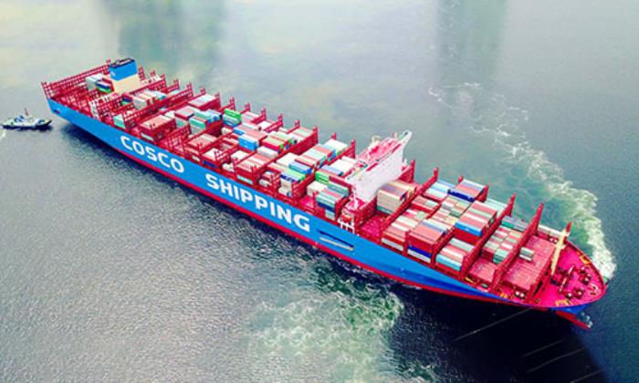 加拿大海运：从线路规划到服务升级，助力跨境电商高效物流