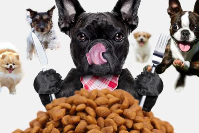 亚马逊将在年底旺季增加FBA库容，美亚上个月宠物用品收入同比增长20.7%