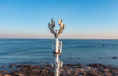 一中国女子在欧洲邮轮失联，母亲焦急寻人