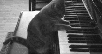 钢琴（乐器）十级，就可以当钢琴（乐器）老师了吗？