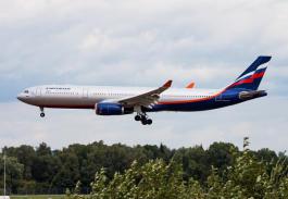 广东洪大物流有限公司