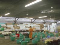 国际货运中的买单报关是什么意思（国际物流干货知识分享）