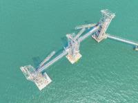 为什么国际海运费不能以人民币计价结算？