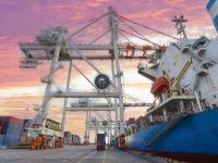 国际社会学协会