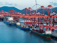 海关主动披露最新政策解读