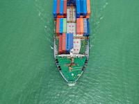 活动物采用哈尔滨国际快递完整送达孟菲斯