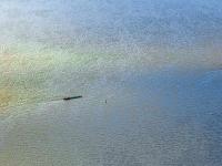 汽车灯光改装套件（LED大灯、氙气大灯）选用中国上海国际快递快送到泰国曼谷