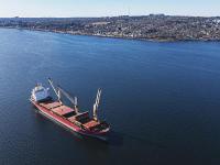 BIMCO：干散货市场供需平衡将在未来几年减弱